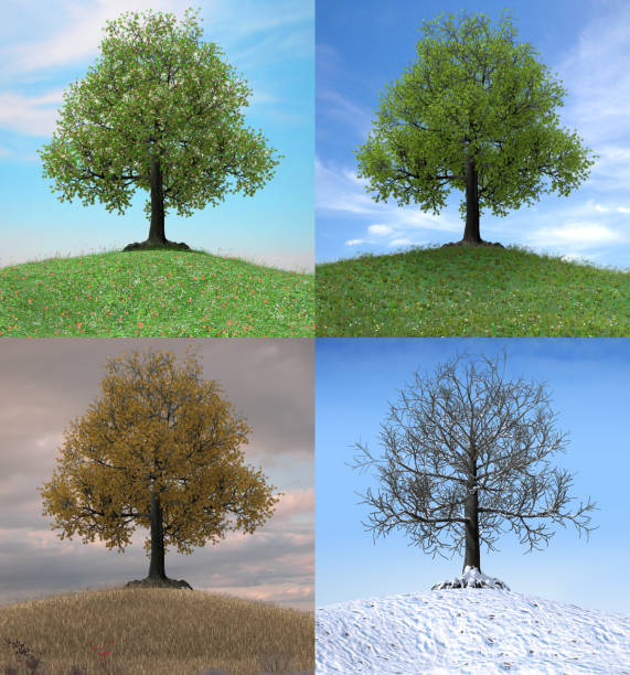 The Seasons Of Our Lives
