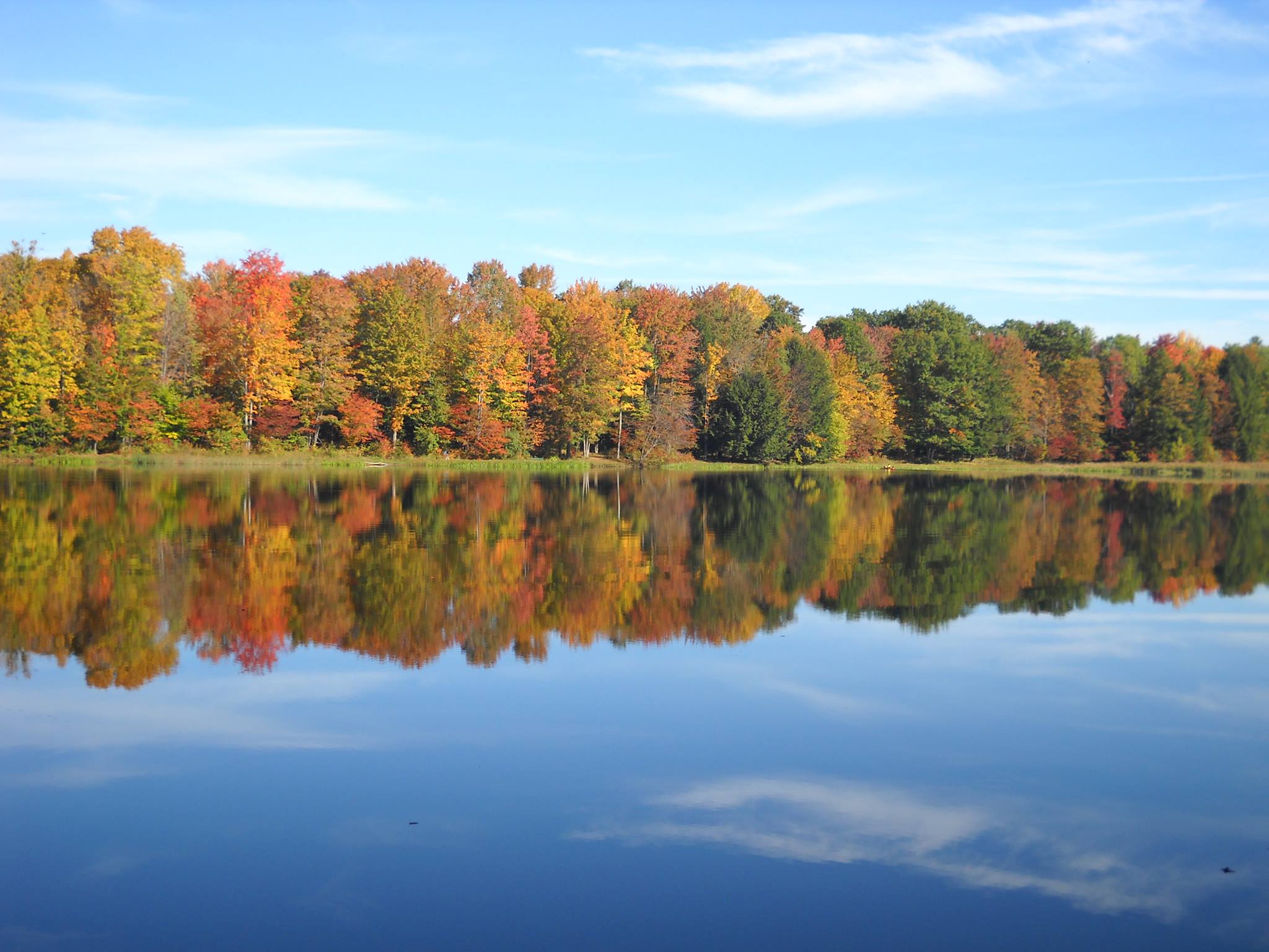 Rapidly “Fall-ing”