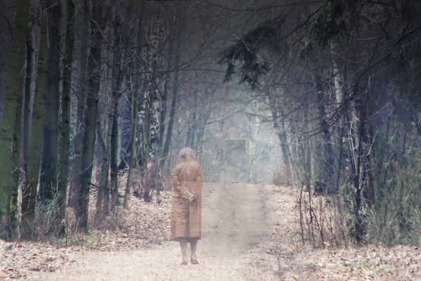 Elegy For A Stranger